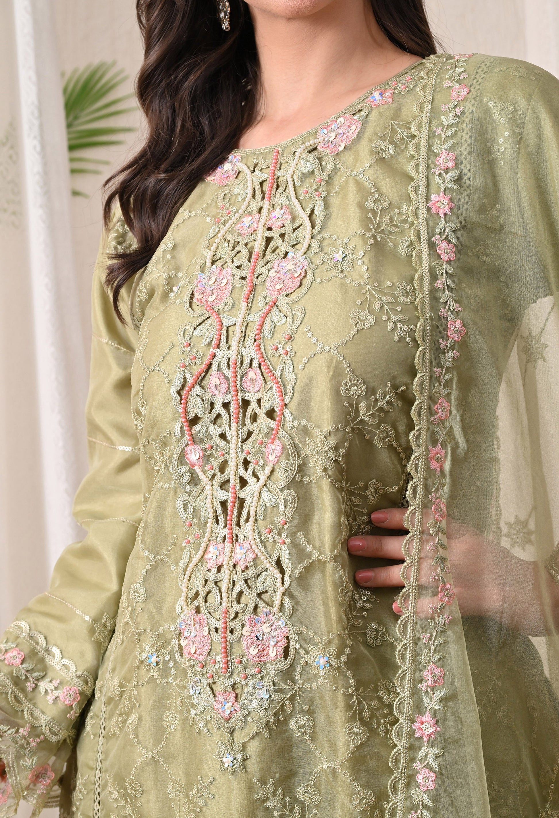 Noor-E-Gulnaar - Pure Organza