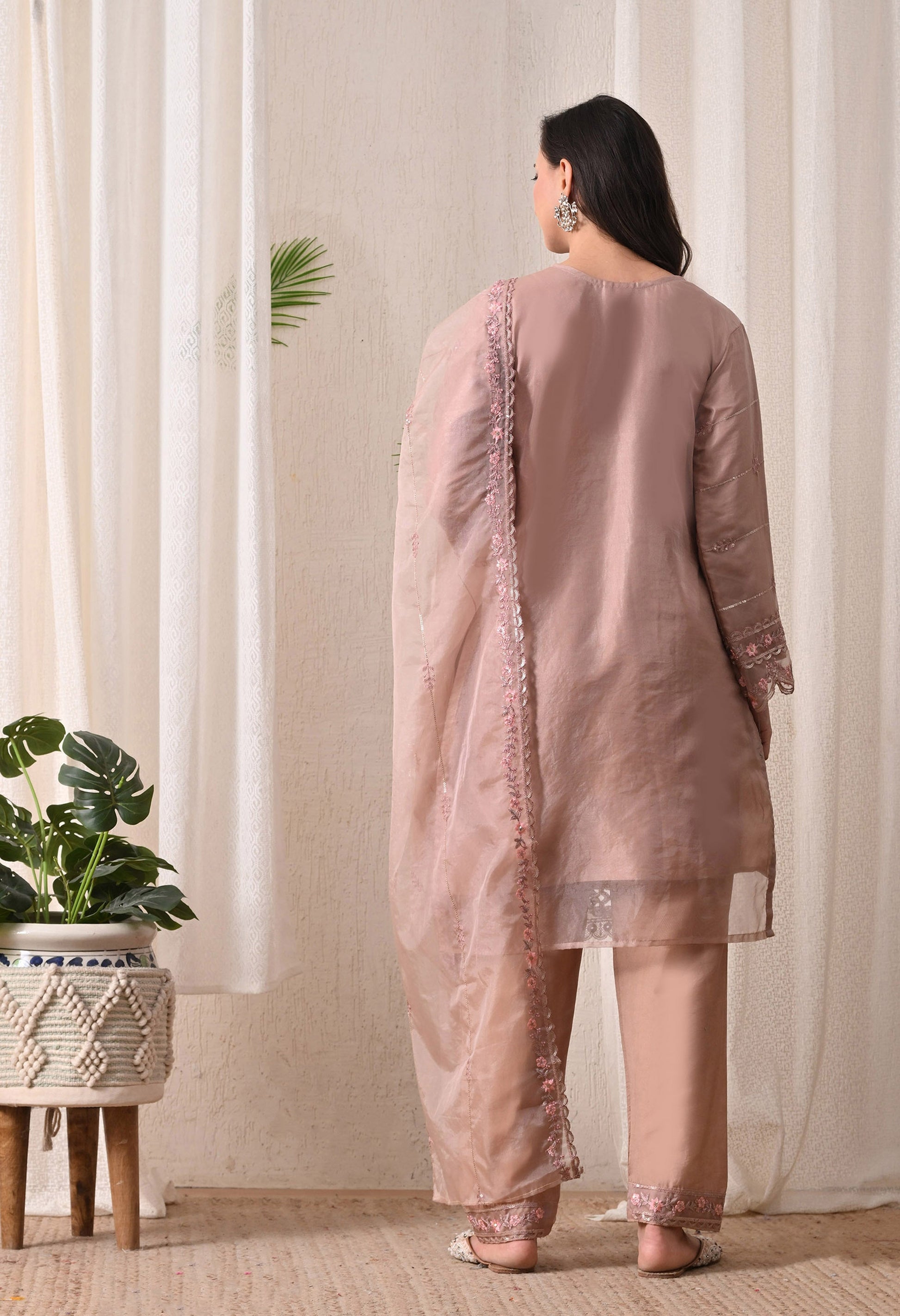 Noor-E-Gulnaar - Pure Organza