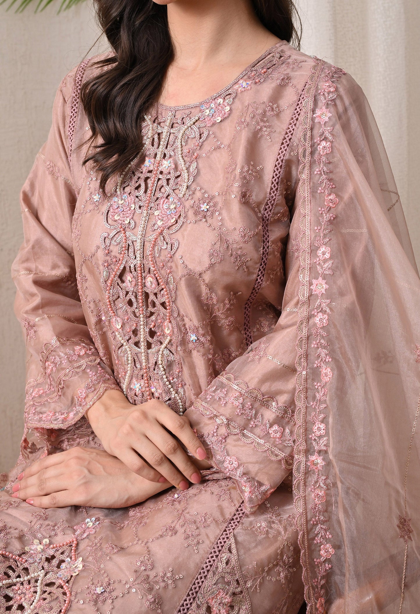 Noor-E-Gulnaar - Pure Organza