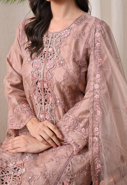 Noor-E-Gulnaar - Pure Organza
