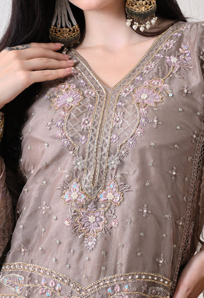 Shahnoor - Pure Organza